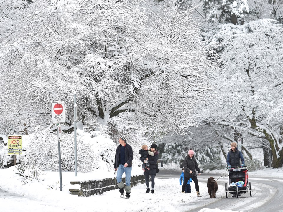 snow walkers