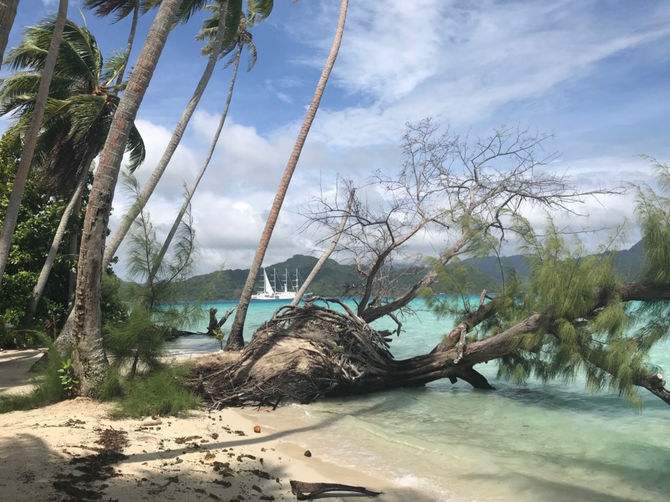 Windstar Bora Bora