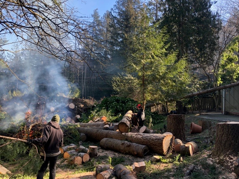 A sunny Saturday bucking wood and burning branches.