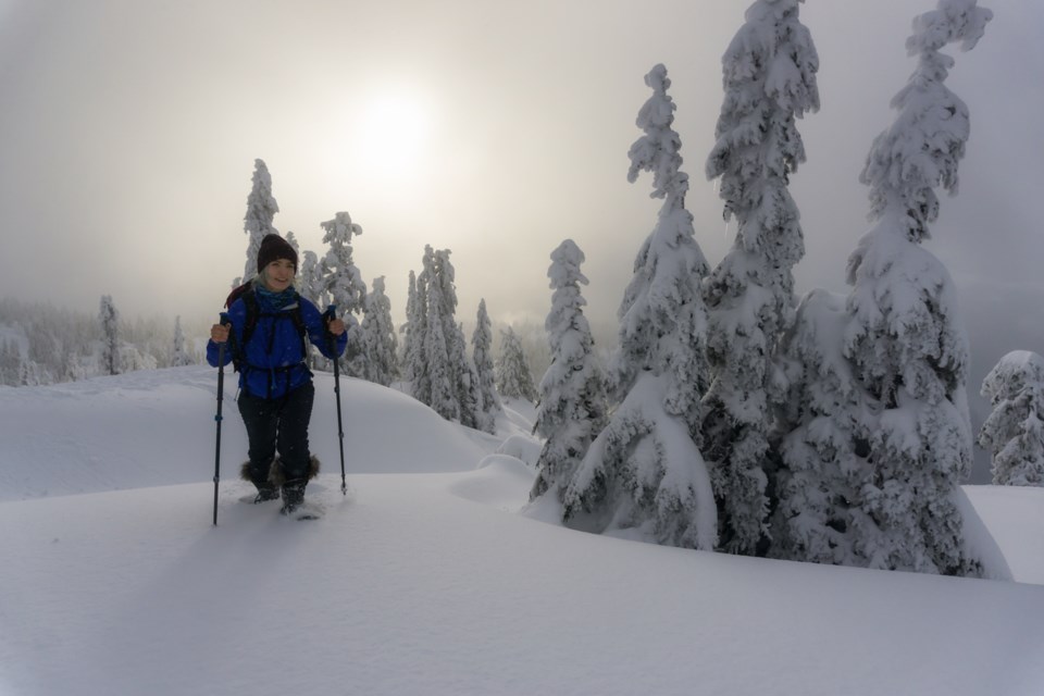 Mt Seymour