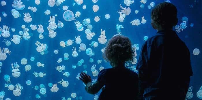 Vancouver Aquarium