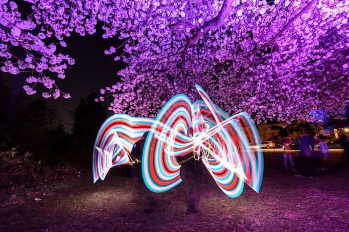 Vancouver Cherry Blossom Festival