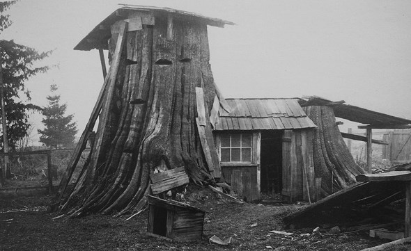 A different kind of tree house (Vancouver Archives)