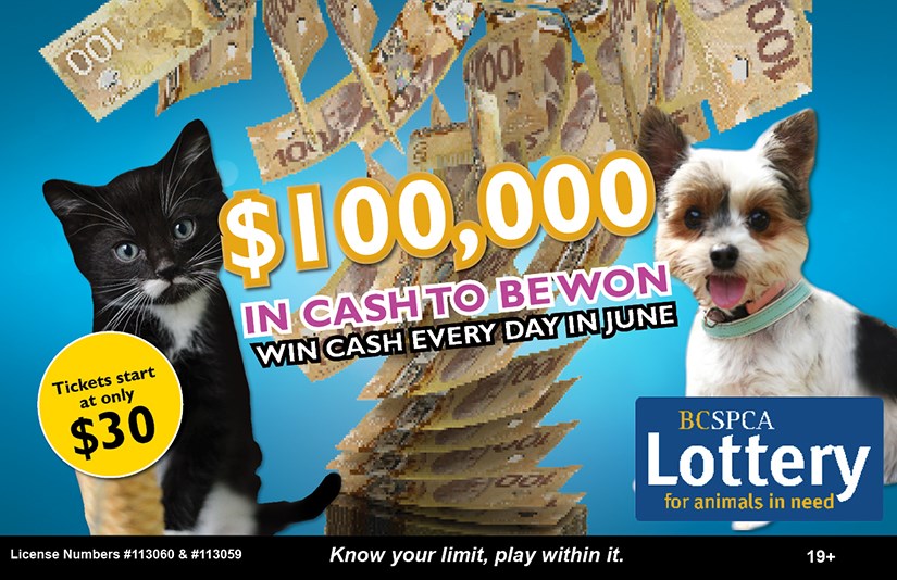 spca lottery