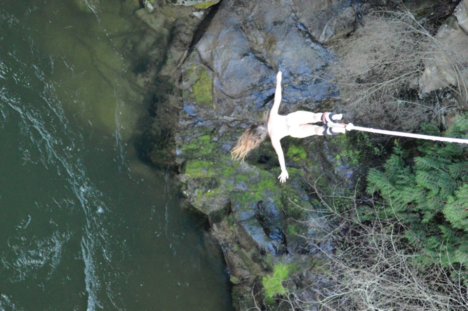 New_d8-0303-bungy.jpg