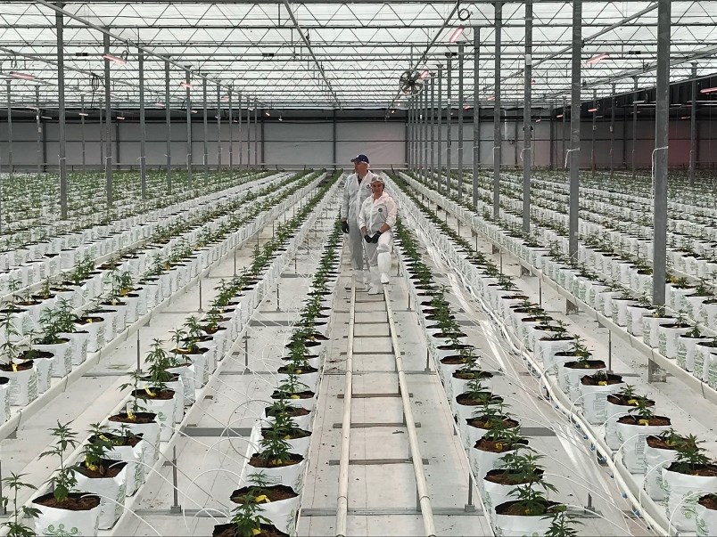 Victor Krahn Hilary Black at their East Ladner greenhouse