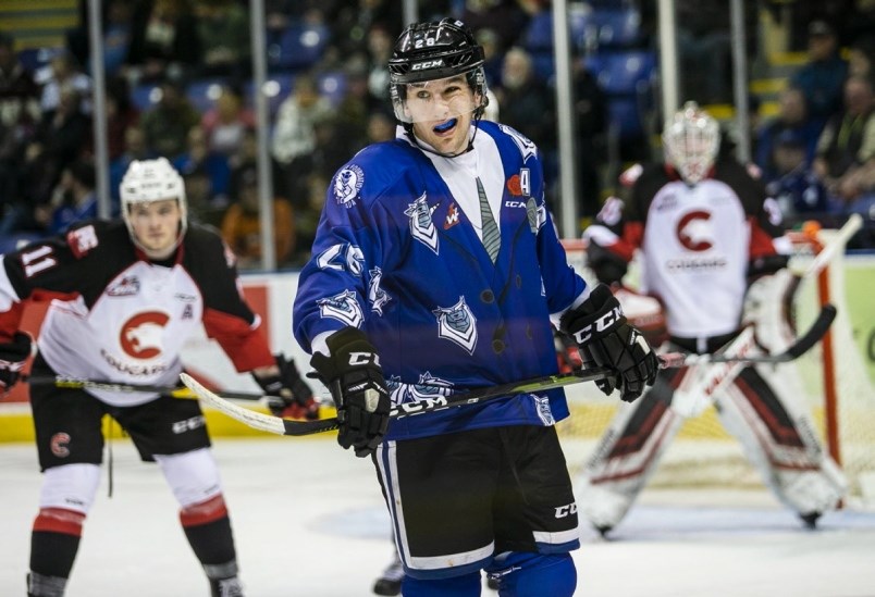 Victoria Royals winger Kody McDonald, sporting his Don Cherry-inspired third jersey, waits for a face-off with Josh Maser of the Prince George Cougars and goalie Taylor Gauthier during their game Saturday in Victoria. The Royals won 5-2 and swept the two-game weekend series.