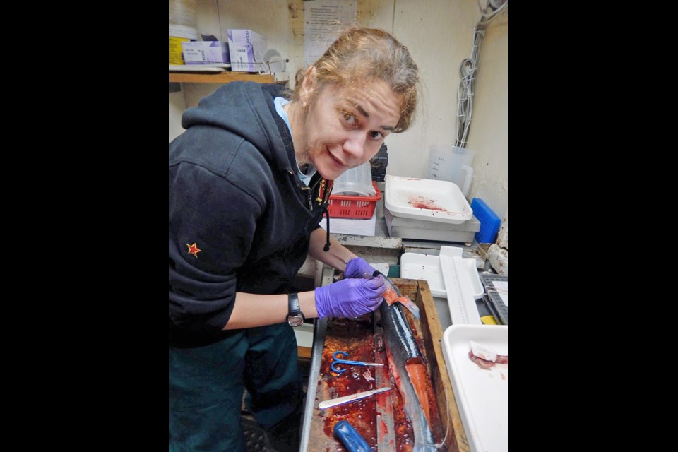Albina Kanzsparova is keen to see how salmon stocks are formed in both sides of the ocean.