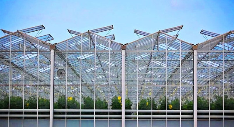 greenhouse warehouse