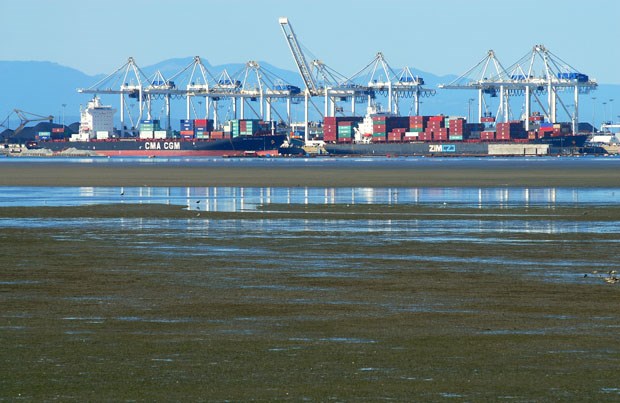 Concerns have been expressed by many, including Environment and Climate Change Canada, over the impact port expansion would have on mudflats that contain biofilm, a critical food source for migrating birds.