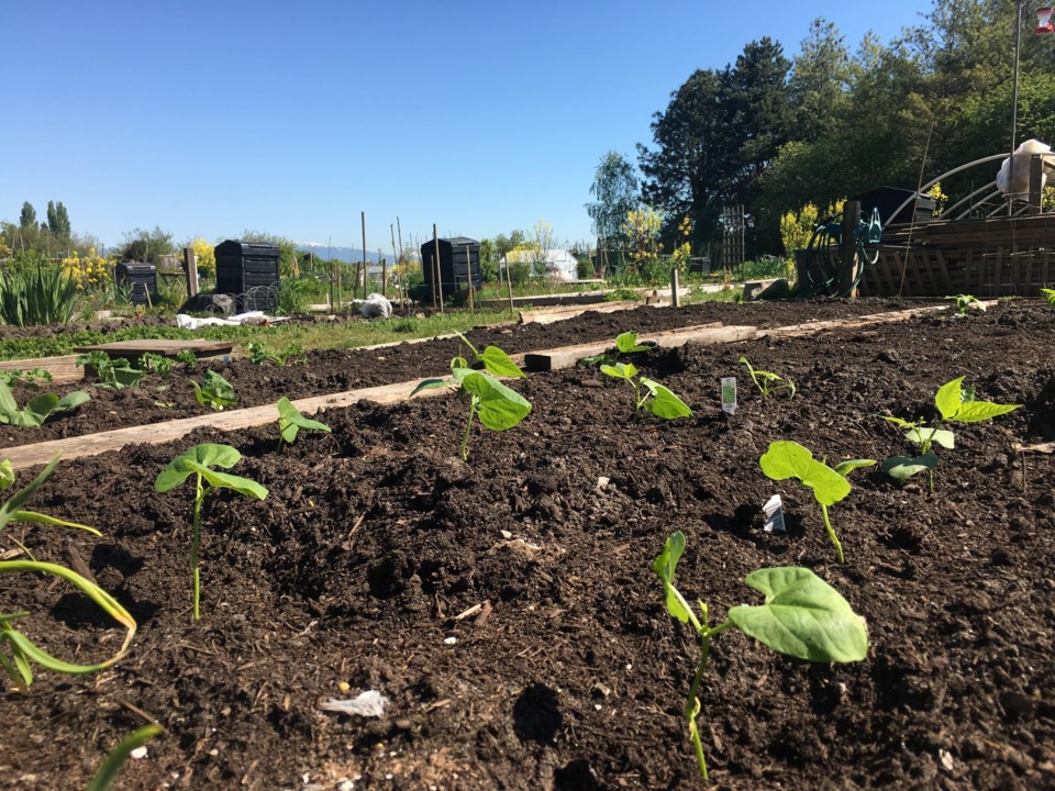 richmond community garden