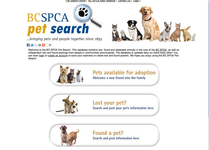 Lost and found pets online - Kamloops This Week