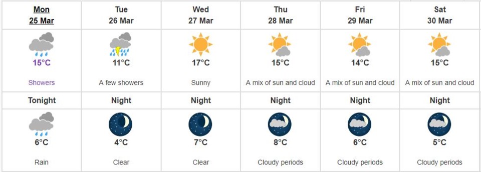 weather forecast