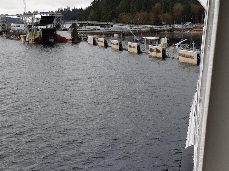 Langdale ferry