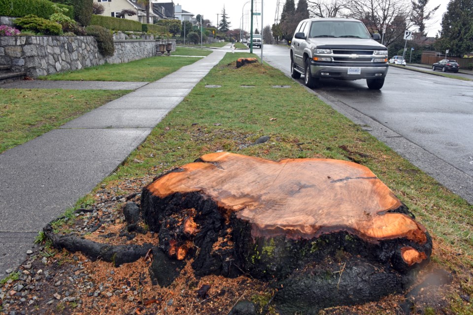 Stump boundary