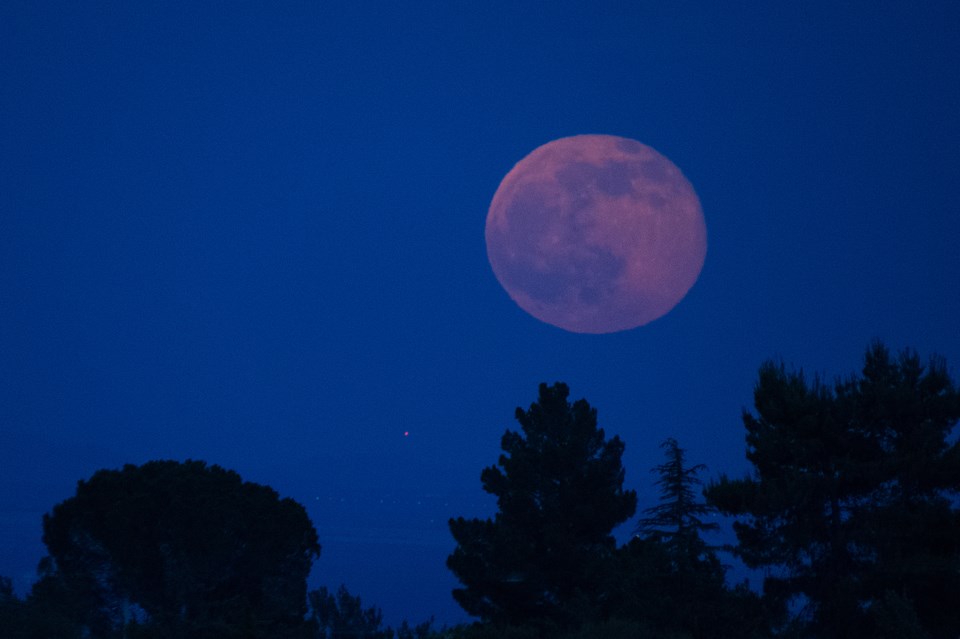 Pink full moon
