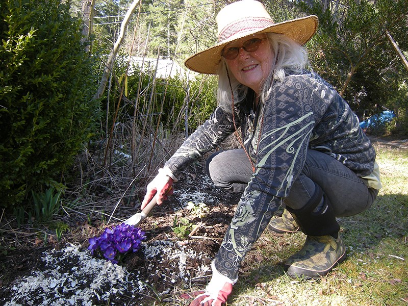 Powell River Garden Club member Sherry Worthen