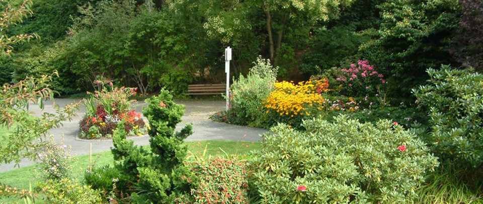 glenbrook ravine park