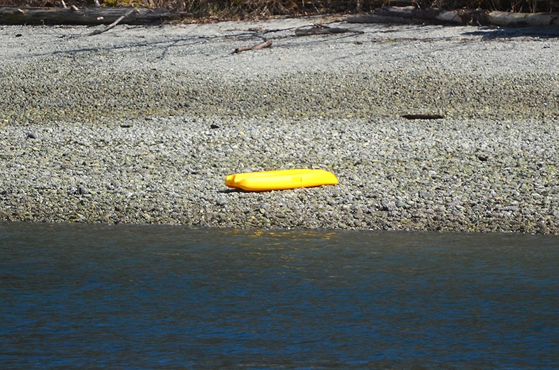 Barnet Marine Park drowning