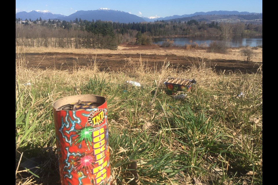 Discarded fireworks boxes can be seen above fire damage at Deer Lake Park. GLEN GOVIER PHOTO