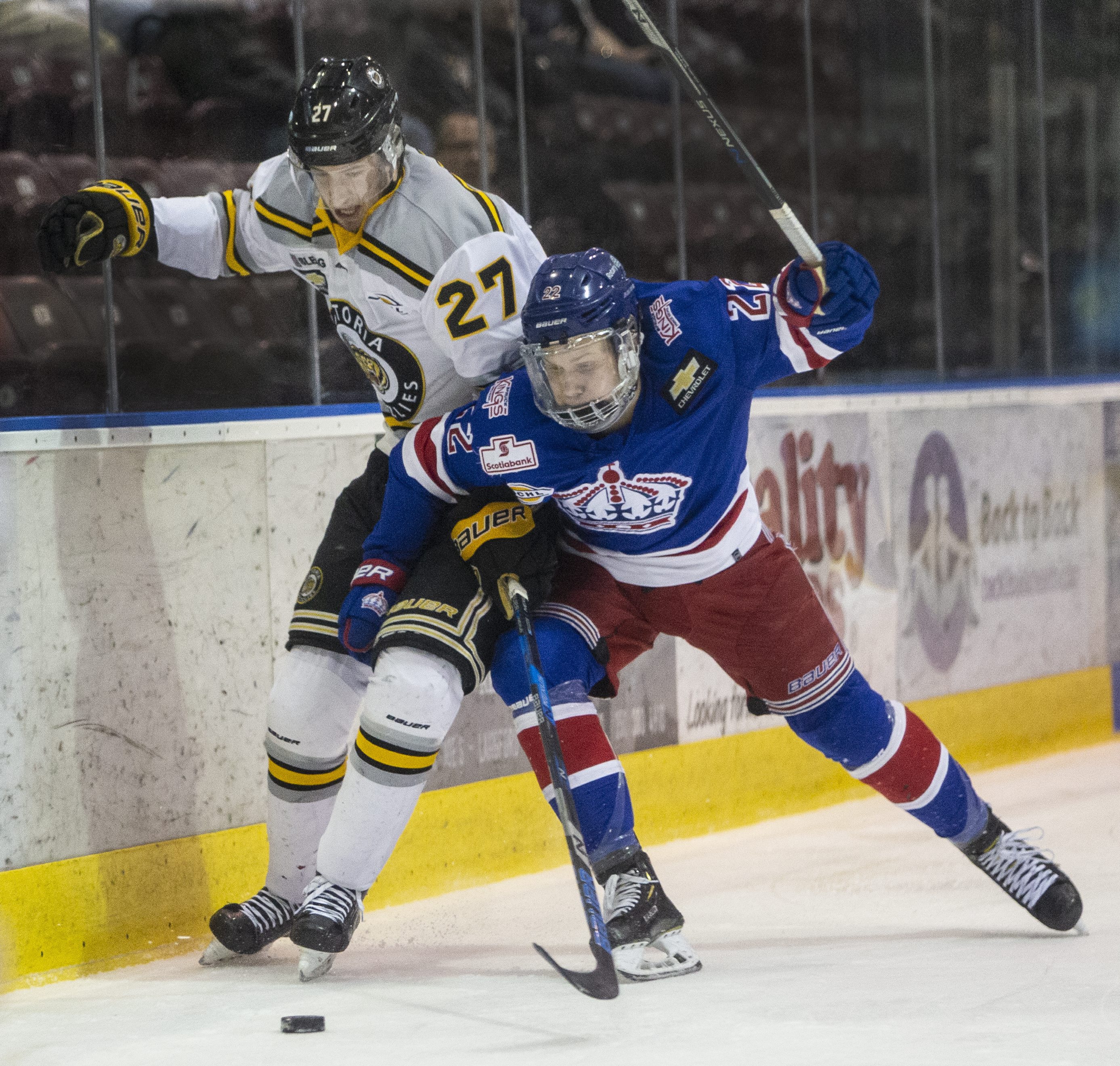 Victoria Cougars primed for long playoff run - Victoria Times Colonist