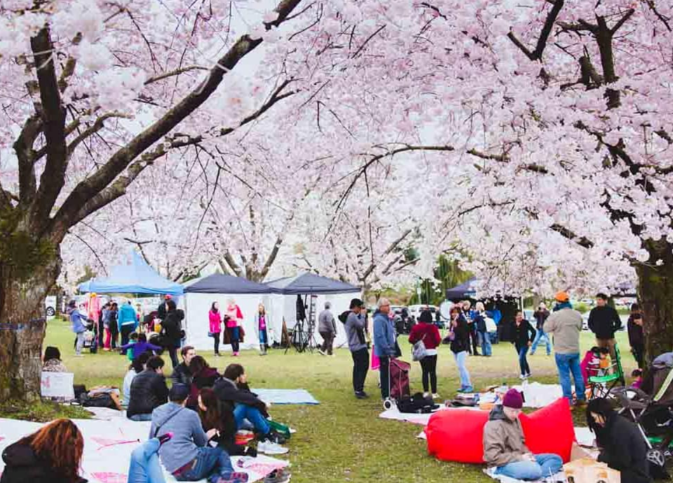 The Big Picnic