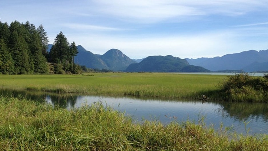 widgeon slough