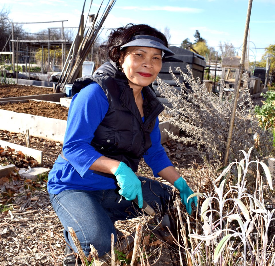 Community garden Richmond