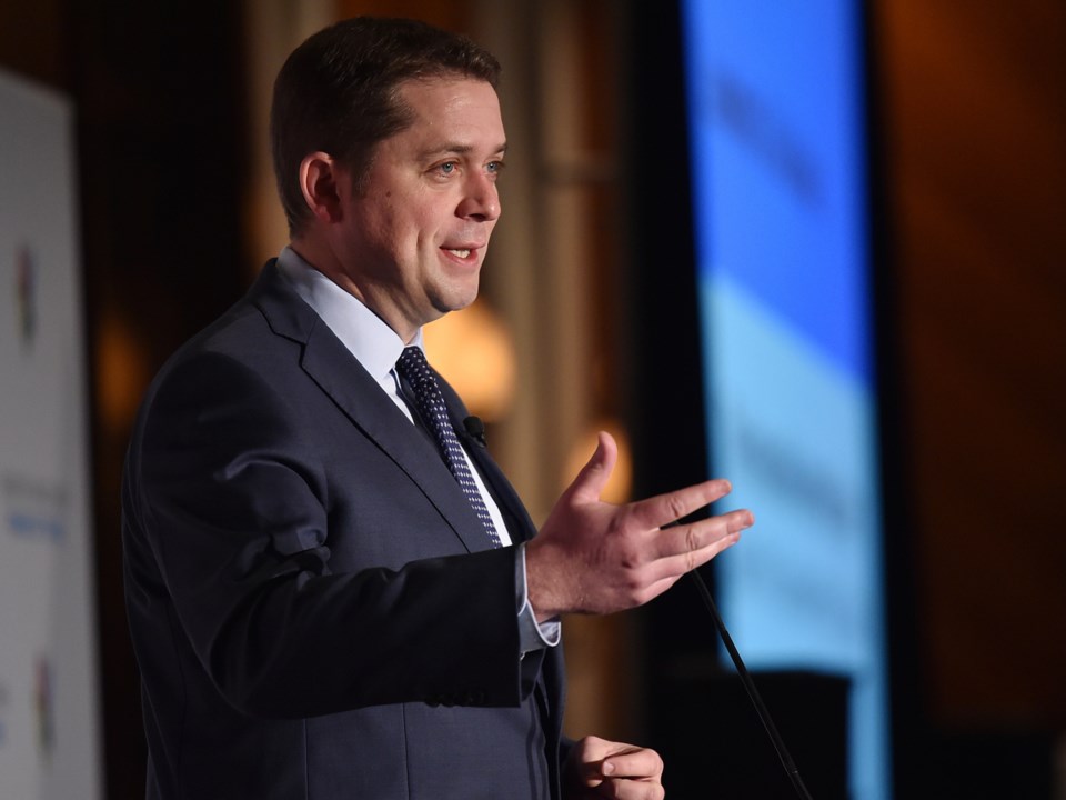 andrew scheer