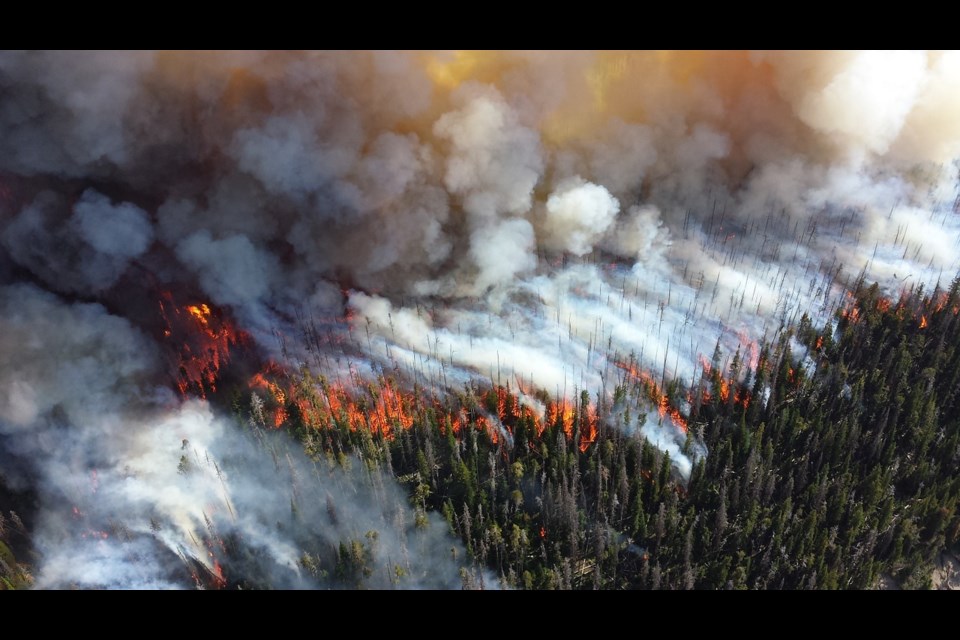 Climate change is expected to lead to more wildfires threatening urban areas, including Coquitlam.