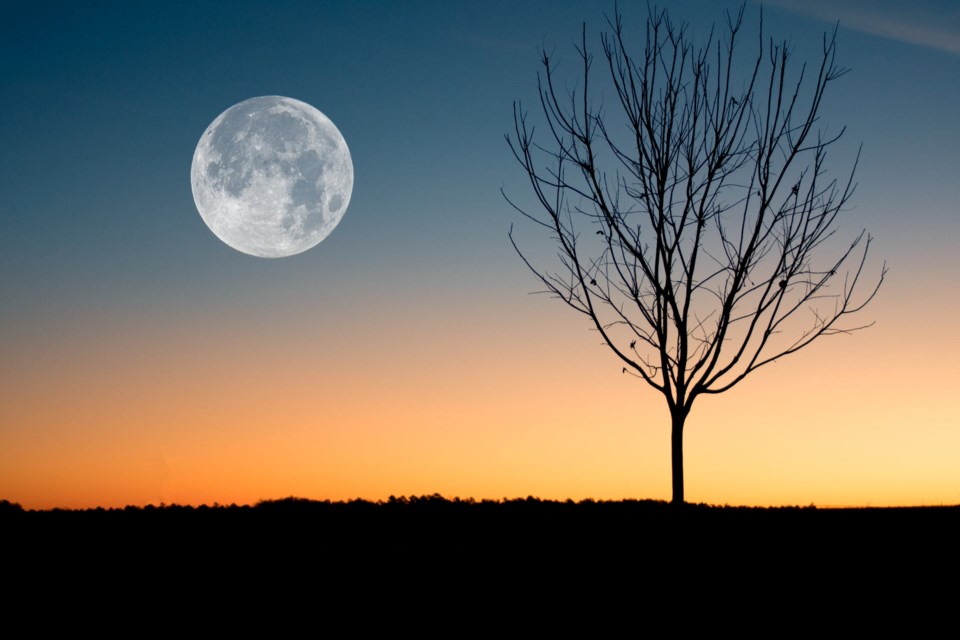 moon