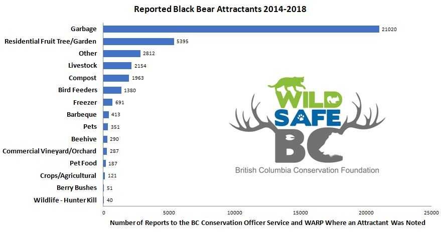 Black Bear Attractants - WildSafeBC