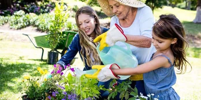 VanDusen Plant sale