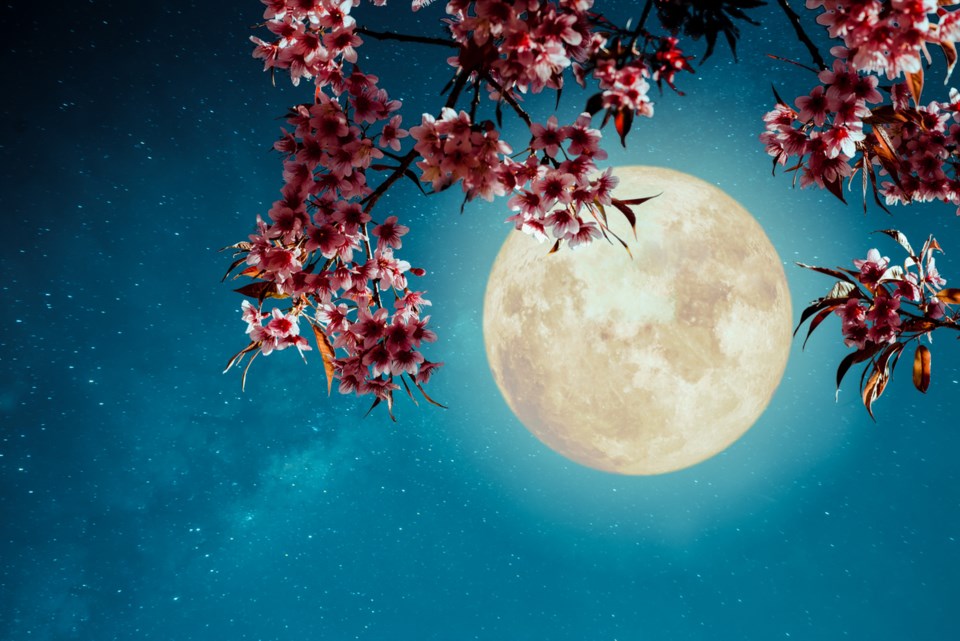Full flower moon