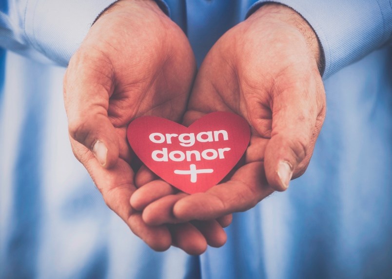 organ donor