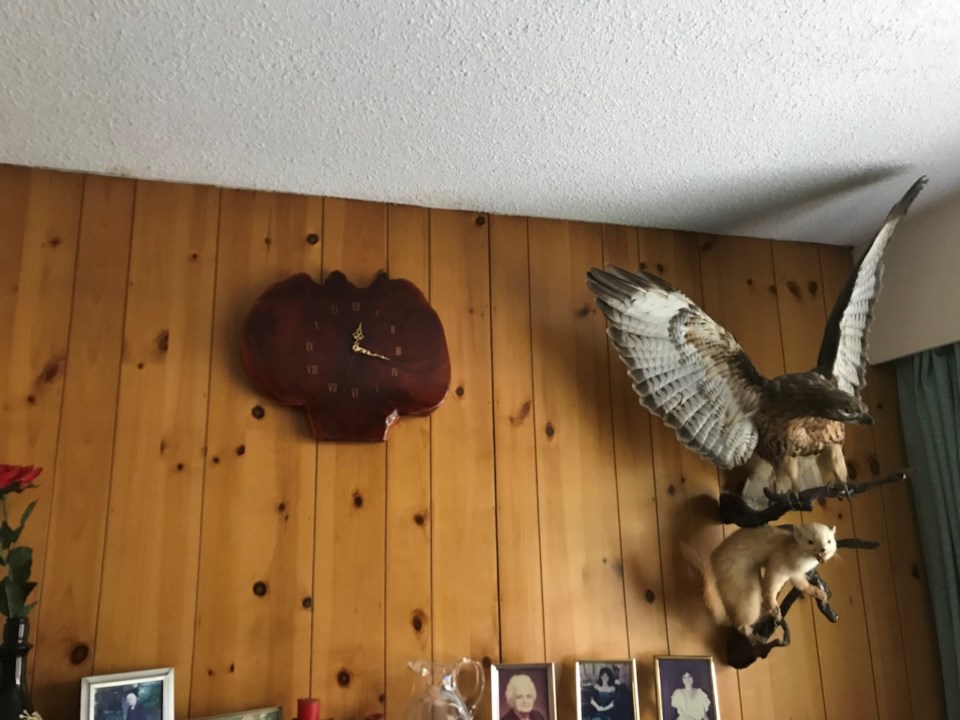 From Hungary to the woods of Squamish_1