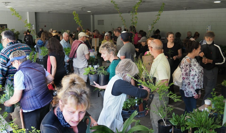 Plant sale