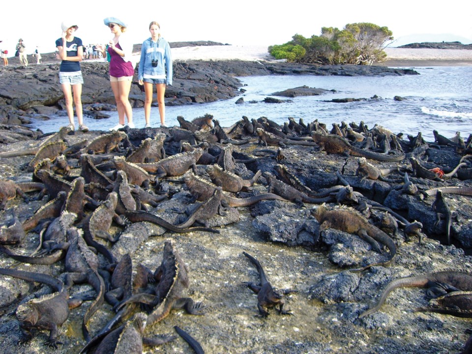 galapagos