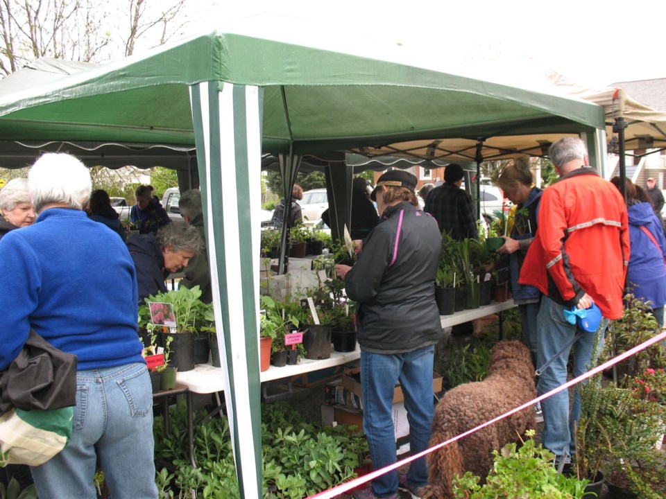 New Westminster horticultural society