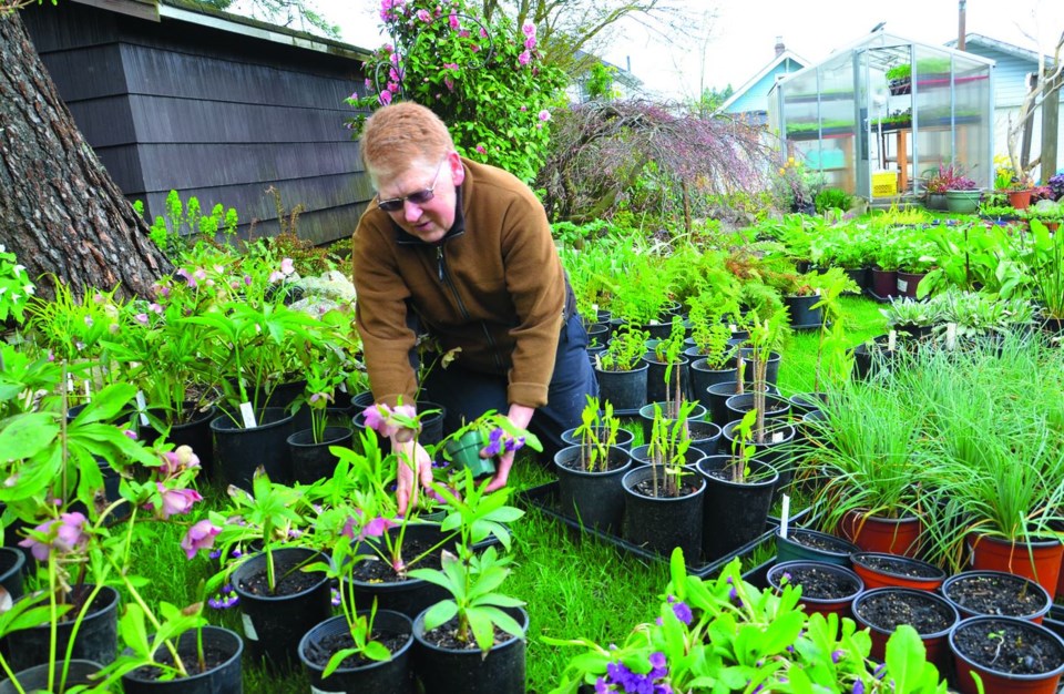 New Westminster Horticultural Society