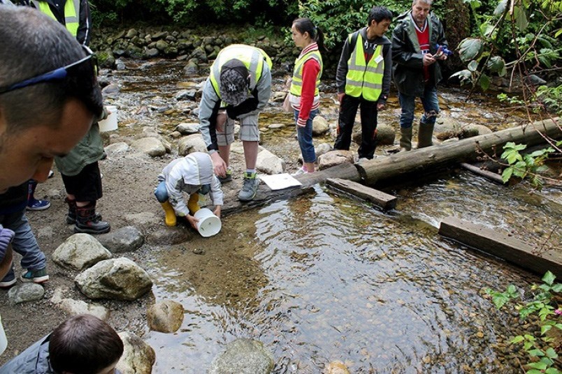 Fingerling Festival