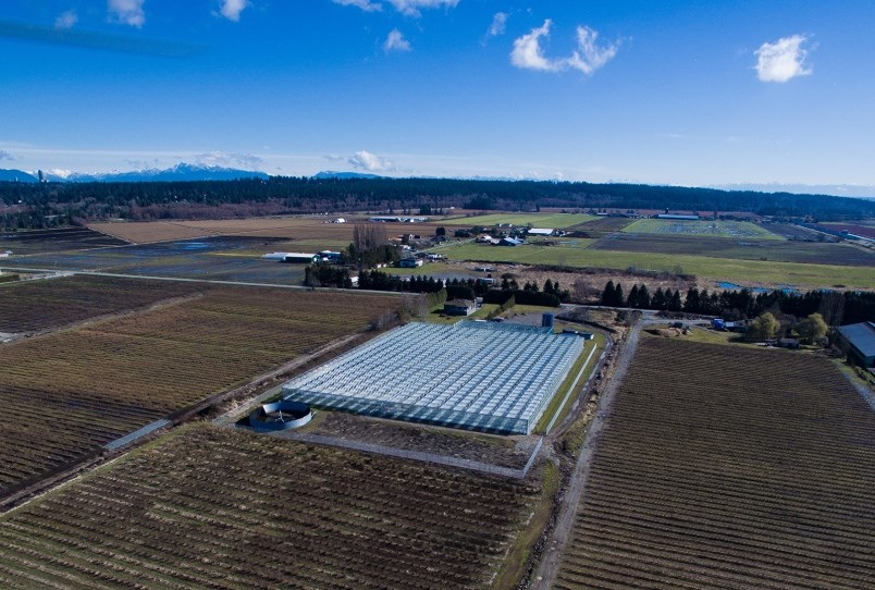 delta pot greenhouse