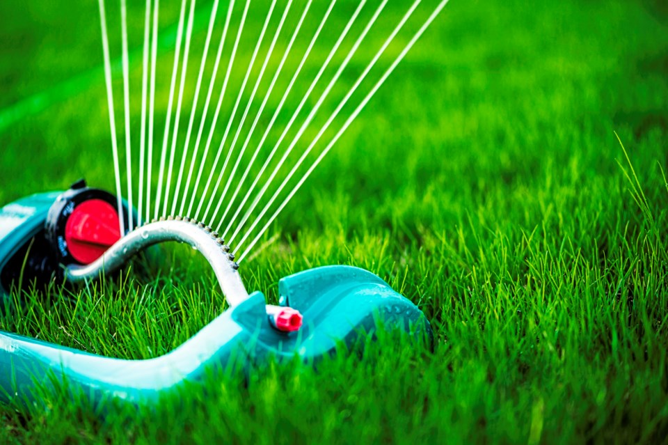 Watering trees, shrubs and flowers is permitted everyday during the morning hours, though lawns can