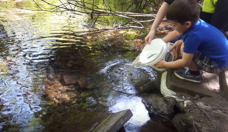 Hoy salmon release