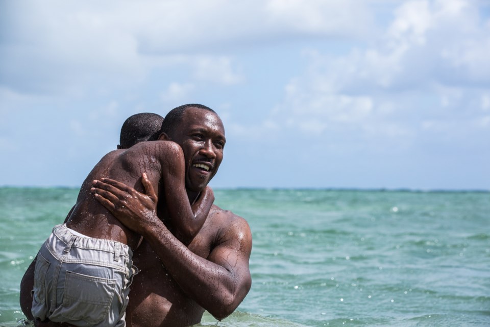 Moonlight, Elevation Pictures, movie