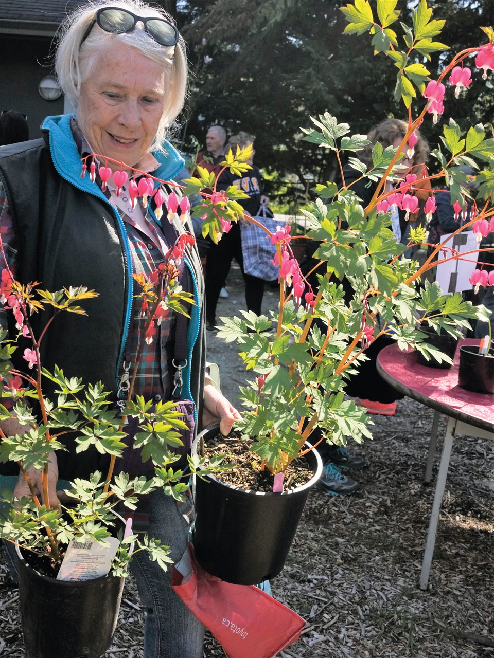 plant sale