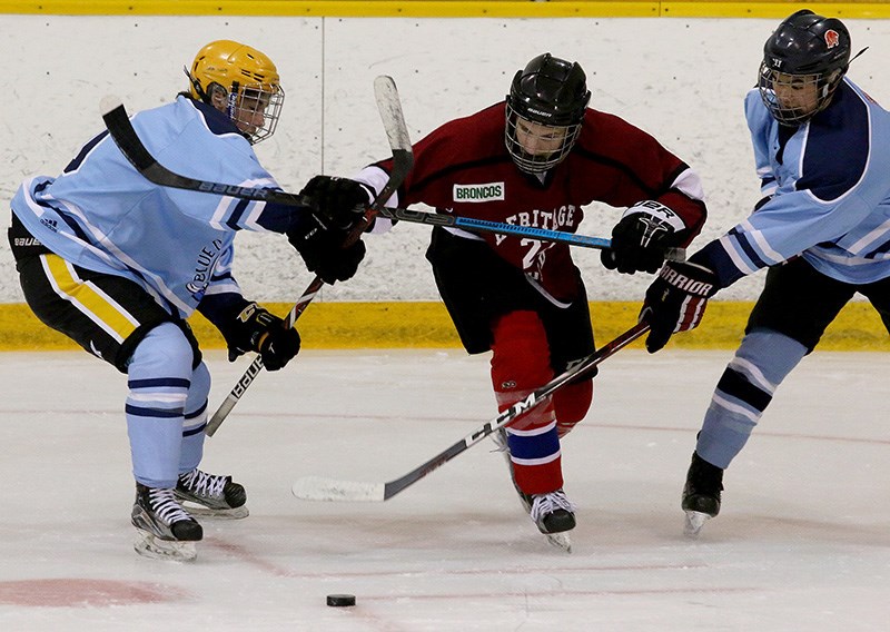 MARIO BARTEL/THE TRI-CITY NEWS
Heritage Woods Kodiaks forward Mateo Prodanovic tries to squeeze between Dr. Charles Best defenders Anthony Tomassetti and Nathan Chow in the first period of their recent BC High School Hockey League game at Coquitlam's Planet Ice.