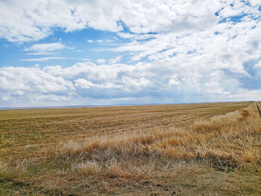 alberta farmland