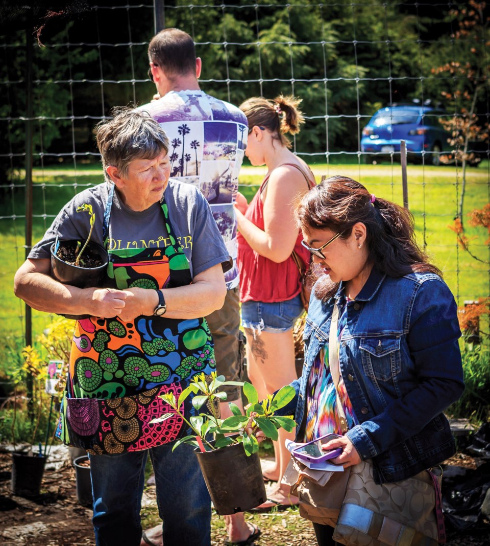 plant sale