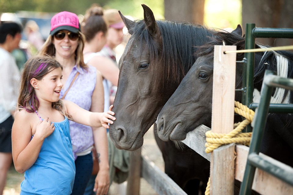 DISCOVER SQUAMISH: Squamish is a pet-friendly paradise_3